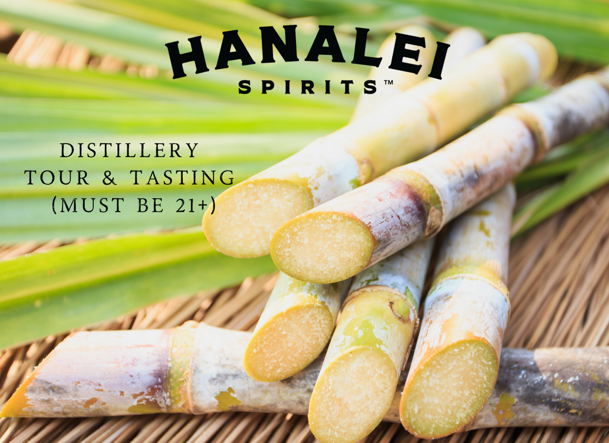 90min Indoor Distillery Tour & Tasting Experience – Hanalei Spirits